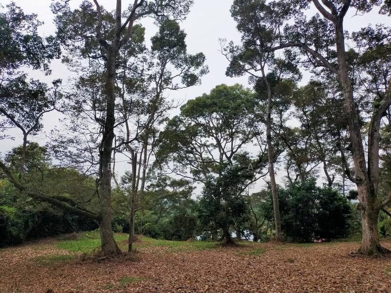 Agricultural Land for Sale in Senggarang (Johor) - Eugene Yap - PropertyGuru.com.my