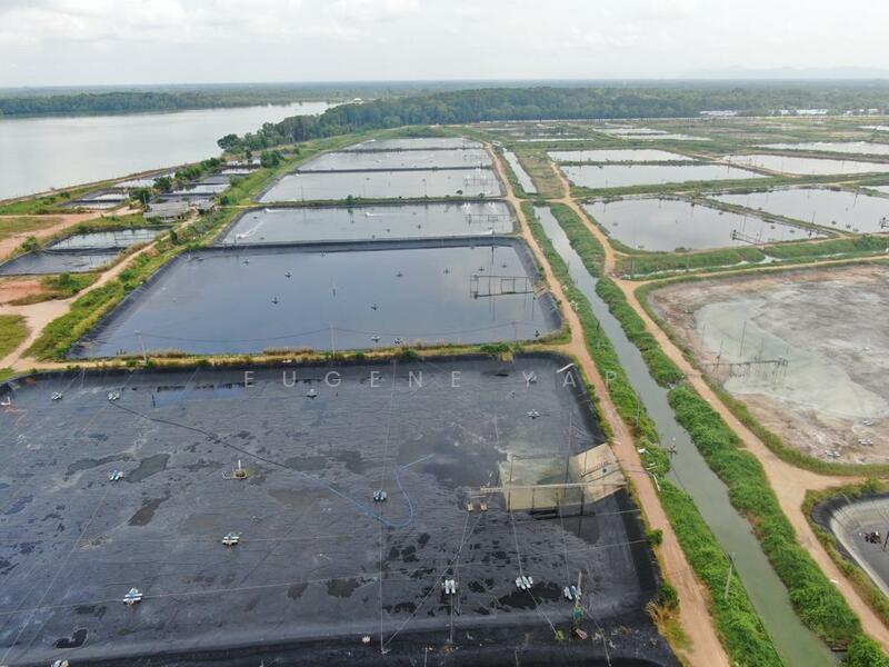 Agricultural Land for Sale in Kampung Minyak Beku (Senggarang) - Eugene Yap - Exterior - PropertyGuru.com.my