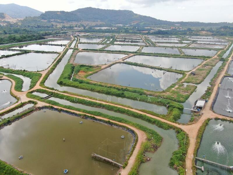 Agricultural Land for Sale in Kampung Minyak Beku (Senggarang) - Eugene Yap - Exterior - PropertyGuru.com.my