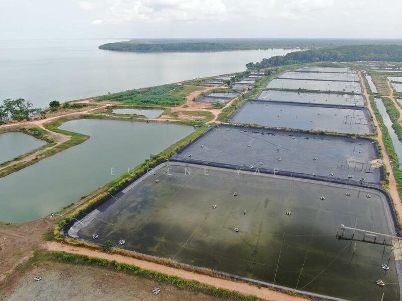 Agricultural Land for Sale in Kampung Minyak Beku (Senggarang) - Eugene Yap - PropertyGuru.com.my