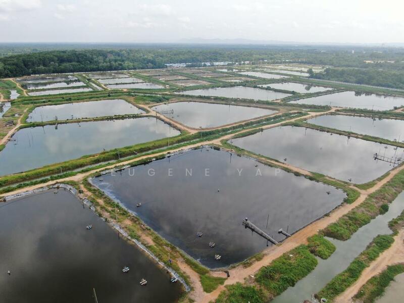 Agricultural Land for Sale in Kampung Minyak Beku (Senggarang) - Eugene Yap - PropertyGuru.com.my