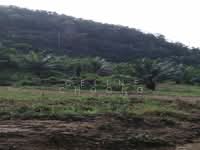For Sale - Mukim Kahang Johor, Palm oil land with Mill