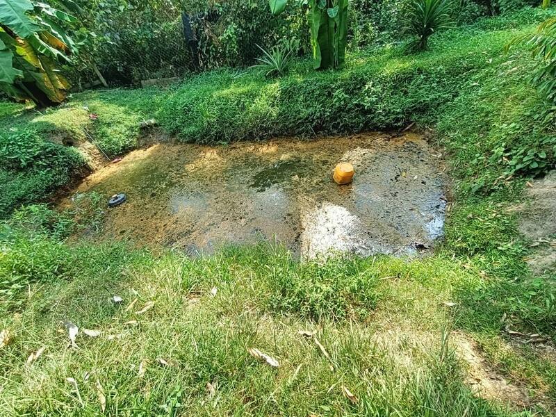 Agricultural Land for Sale in Ipoh (Perak) - SK Kok - Garden - PropertyGuru.com.my