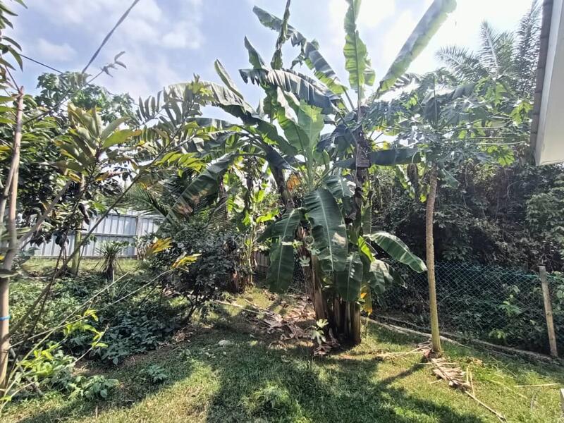 Agricultural Land for Sale in Ipoh (Perak) - SK Kok - PropertyGuru.com.my