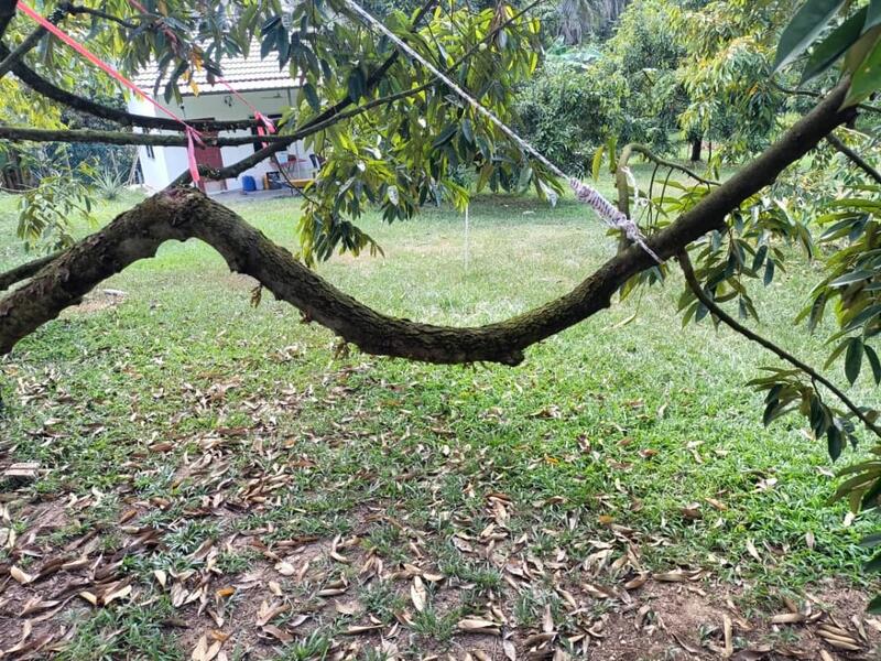 Agricultural Land for Sale in Ipoh (Perak) - SK Kok - PropertyGuru.com.my