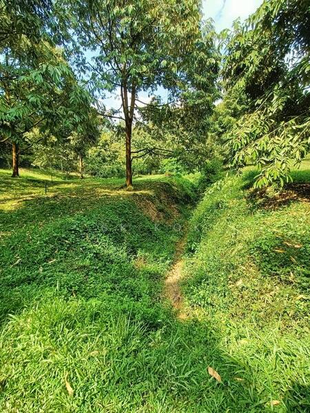 Agricultural Land for Sale in Ipoh (Perak) - SK Kok - PropertyGuru.com.my