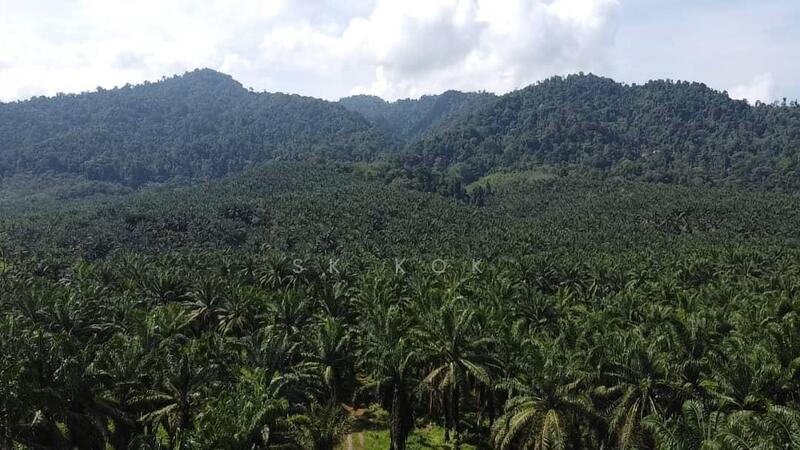 Agricultural Land for Sale in Sungai Siput (Perak) - SK Kok - Exterior - PropertyGuru.com.my