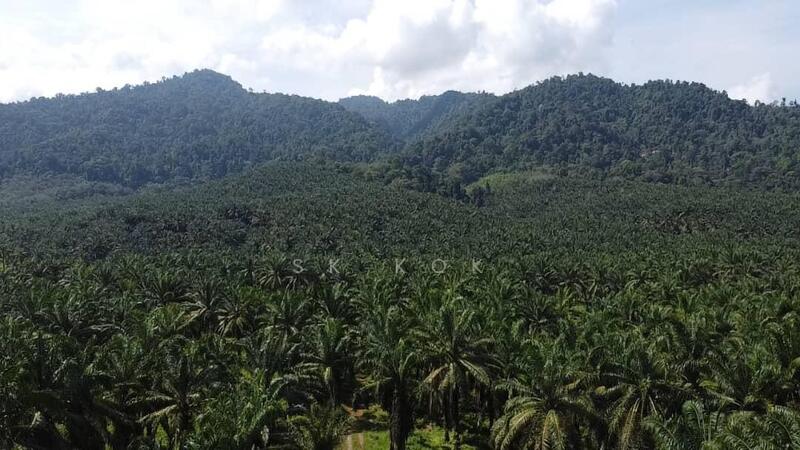 Agricultural Land for Sale in Sungai Siput (Perak) - SK Kok - Exterior - PropertyGuru.com.my