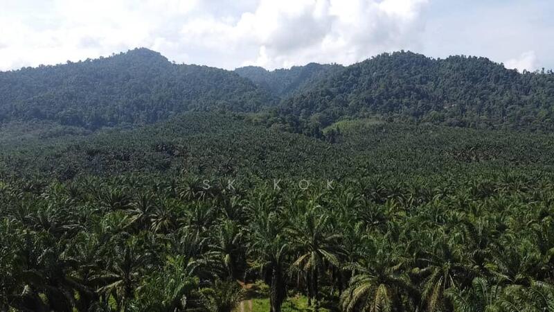 Agricultural Land for Sale in Sungai Siput (Perak) - SK Kok - Exterior - PropertyGuru.com.my