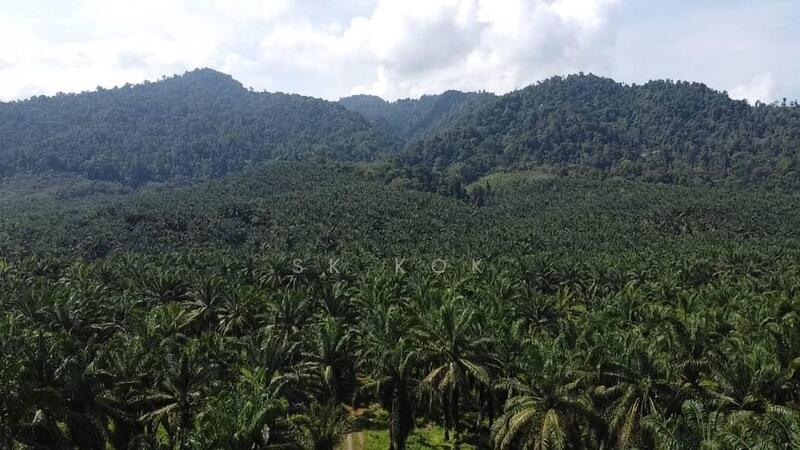 Agricultural Land for Sale in Sungai Siput (Perak) - SK Kok - Exterior - PropertyGuru.com.my