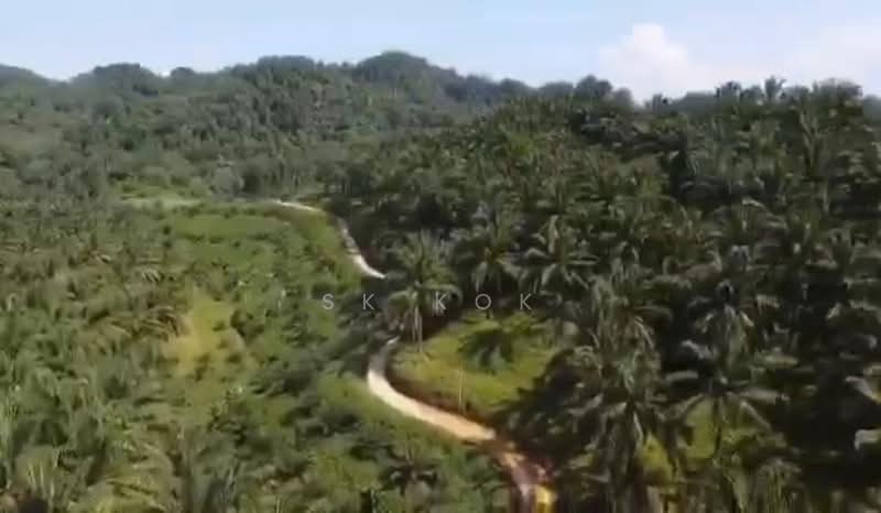 Agricultural Land for Sale in Sungai Siput (Perak) - SK Kok - Exterior - PropertyGuru.com.my