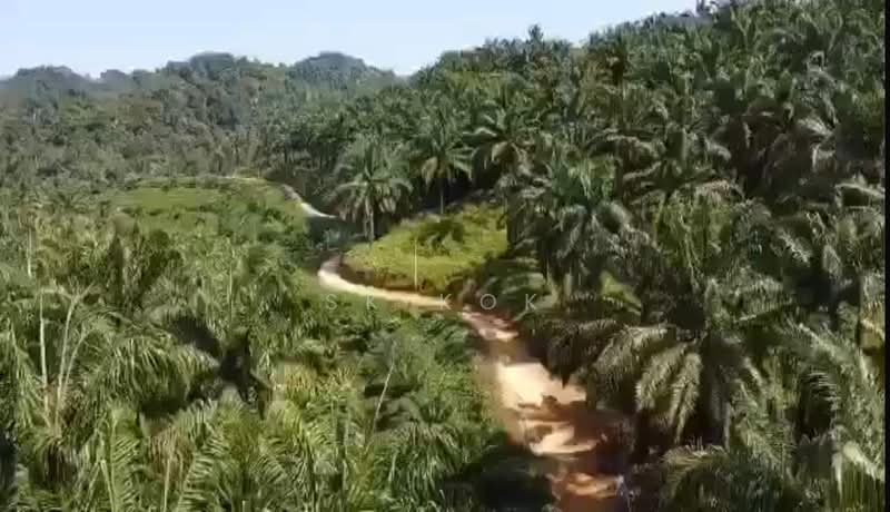 Agricultural Land for Sale in Sungai Siput (Perak) - SK Kok - Exterior - PropertyGuru.com.my
