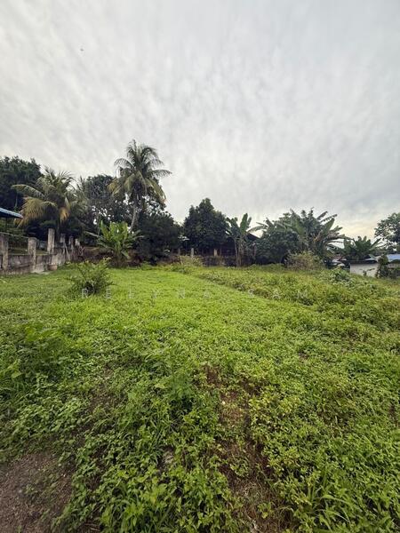 Other Property for Sale in Simpang Rengam (Johor) - Reeyna Sam - Exterior - PropertyGuru.com.my