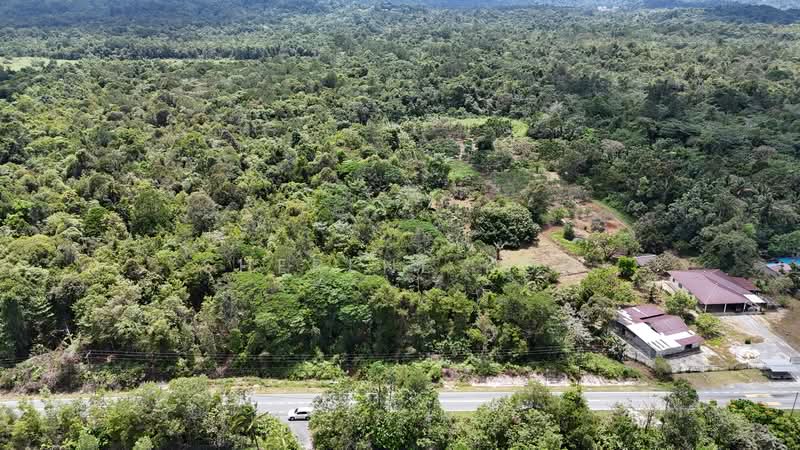 Tanah Pertanian untuk Dijual di Matang (Kuching) - Sherene Kok - Exterior - PropertyGuru.com.my