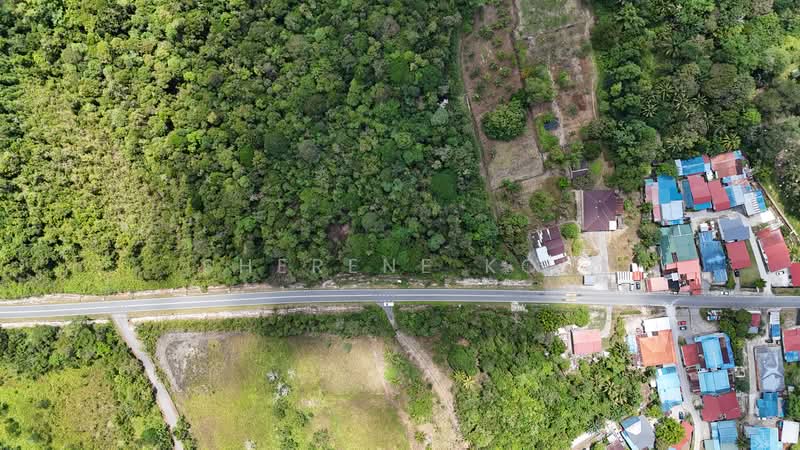 Tanah Pertanian untuk Dijual di Matang (Kuching) - Sherene Kok - PropertyGuru.com.my
