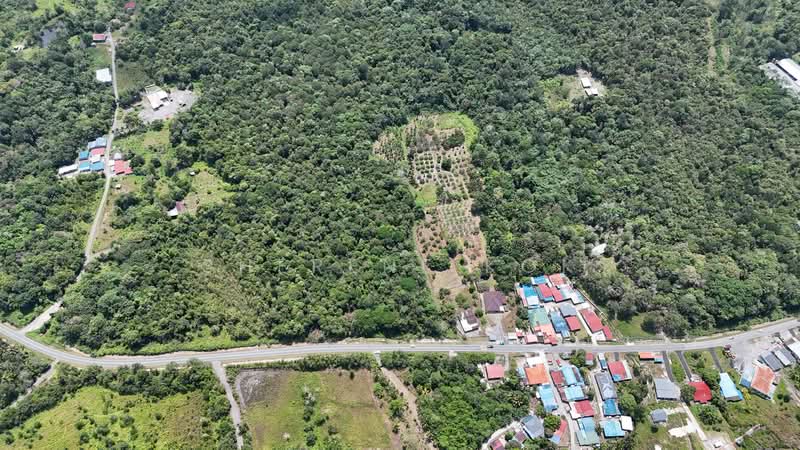 Tanah Pertanian untuk Dijual di Matang (Kuching) - Sherene Kok - PropertyGuru.com.my