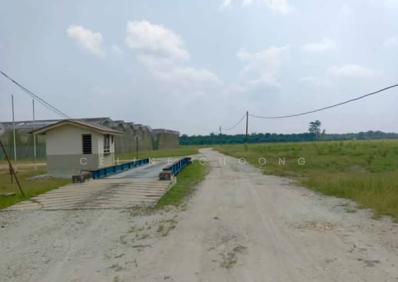 Pahang muadzam shah, palm oil land untuk Untuk Disewa - RM 250,000 /bulan, Apr 2026 - Exterior - PropertyGuru.com.my