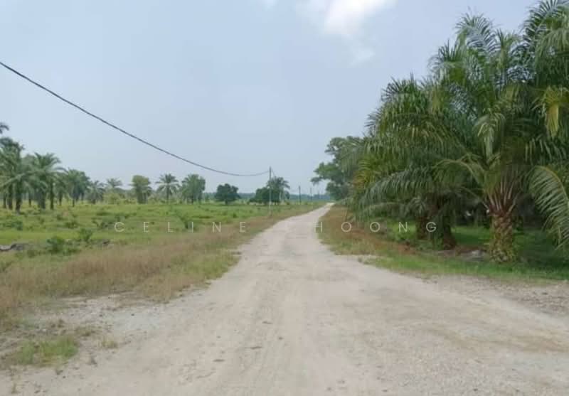 Pahang temerloh, palm oil land untuk Untuk Disewa - RM 250,000 /bulan, Feb 2026 - Exterior - PropertyGuru.com.my