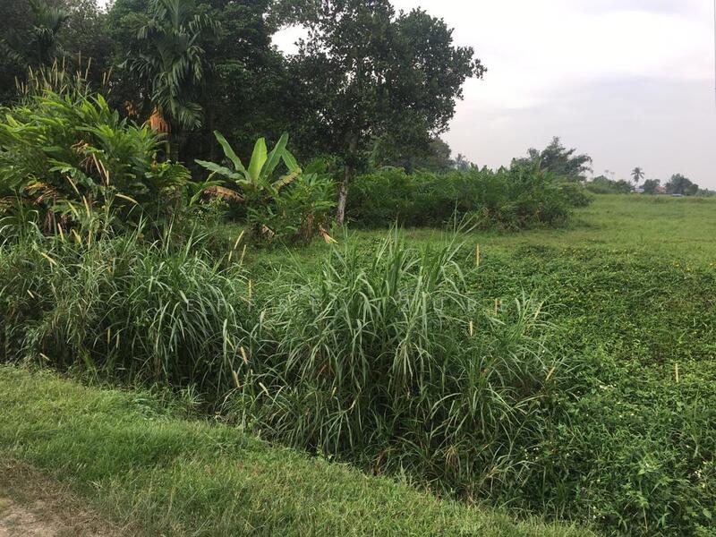 Agricultural Land for Sale in Kampung Paya Jaras Dalam (Sungai Buloh) - Jeffrey Zuree - Exterior - PropertyGuru.com.my