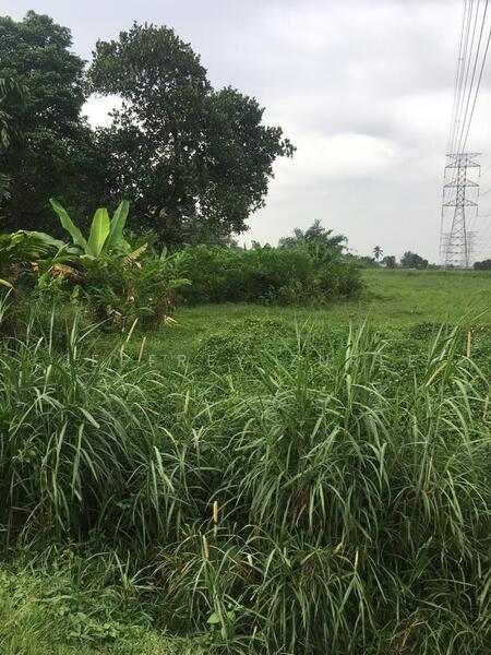 Agricultural Land for Sale in Kampung Paya Jaras Dalam (Sungai Buloh) - Jeffrey Zuree - Exterior - PropertyGuru.com.my
