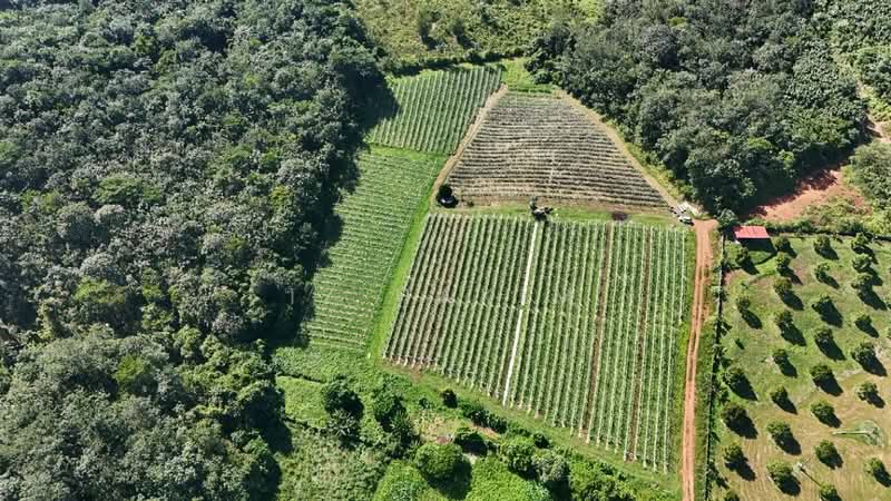 Agricultural Land for Sale in Batang Kali (Selangor) - Iz Hakim - Exterior - PropertyGuru.com.my