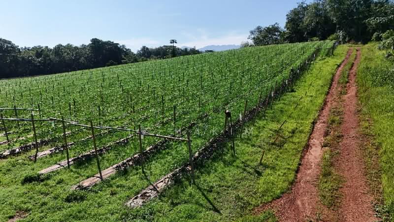 Agricultural Land for Sale in Batang Kali (Selangor) - Iz Hakim - Exterior - PropertyGuru.com.my