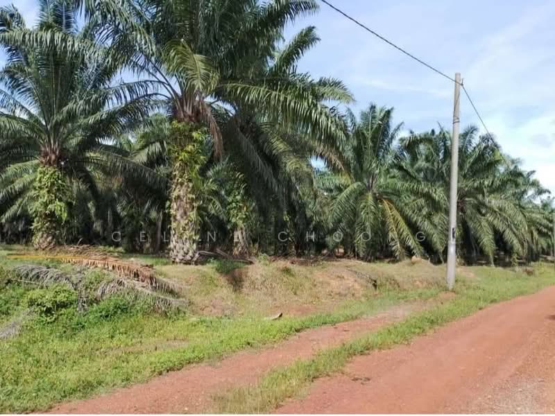 Johor JB , Solar Land untuk Untuk Disewa - RM 1,000,000 /bulan, Feb 2026 - PropertyGuru.com.my