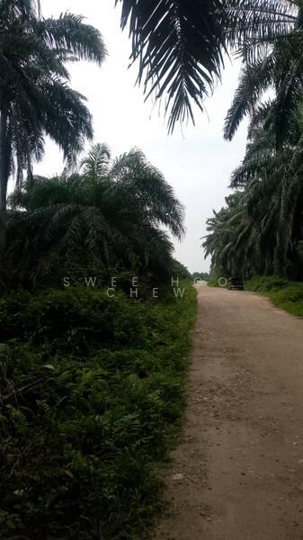 Agricultural Land for Sale in Jeram (Selangor) - SWEE HOO CHEW - Exterior - PropertyGuru.com.my