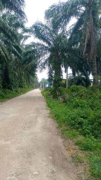 Agricultural Land for Sale in Jeram (Selangor) - SWEE HOO CHEW - Exterior - PropertyGuru.com.my