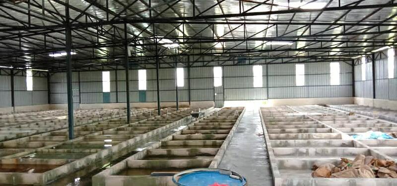 Semenyih untuk Untuk Disewa - RM 6,500 /bulan, Feb 2026 - Interior - PropertyGuru.com.my