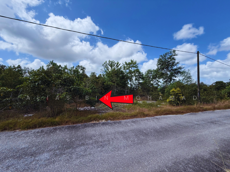 Residential Land for Sale in Caluk (Terengganu) - Alias Bin Mohamad - Exterior - PropertyGuru.com.my