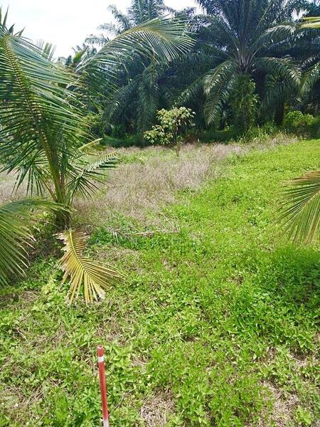 Residential Land for Sale in Port Klang (Pelabuhan Klang) (Selangor) - NORFADILAH ZAINUDDIN - Exterior - PropertyGuru.com.my