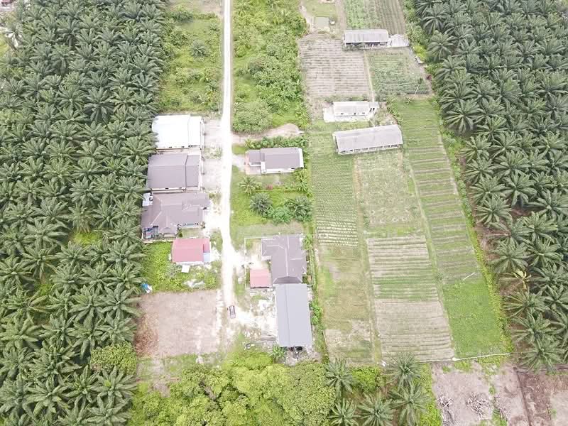 Tanah Kediaman untuk Dijual di Port Klang (Pelabuhan Klang) (Selangor) - NORFADILAH ZAINUDDIN - Exterior - PropertyGuru.com.my