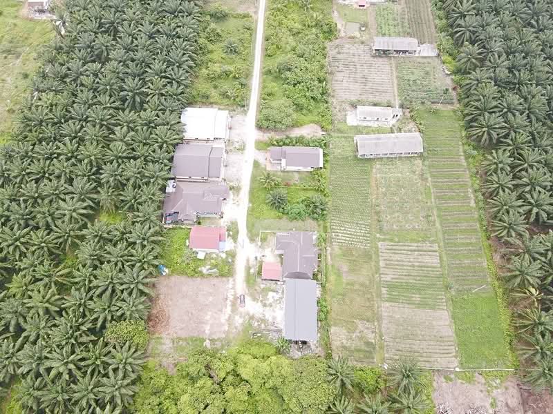 Tanah Kediaman untuk Dijual di Port Klang (Pelabuhan Klang) (Selangor) - NORFADILAH ZAINUDDIN - Exterior - PropertyGuru.com.my
