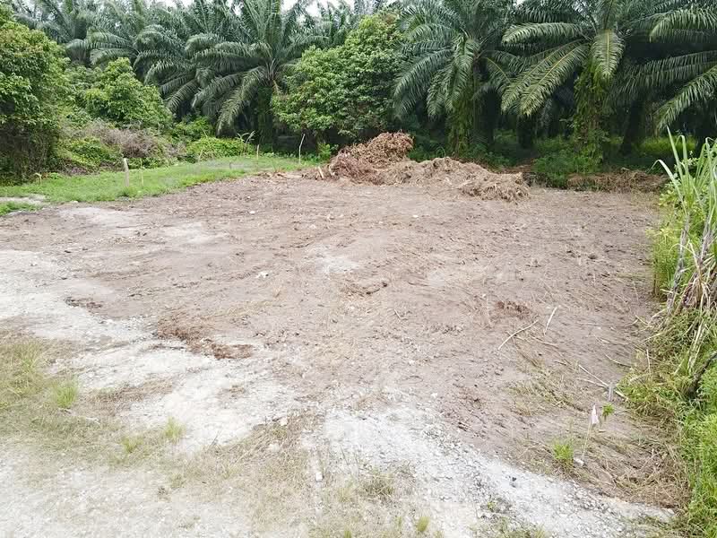 Tanah Kediaman untuk Dijual di Port Klang (Pelabuhan Klang) (Selangor) - NORFADILAH ZAINUDDIN - Exterior - PropertyGuru.com.my
