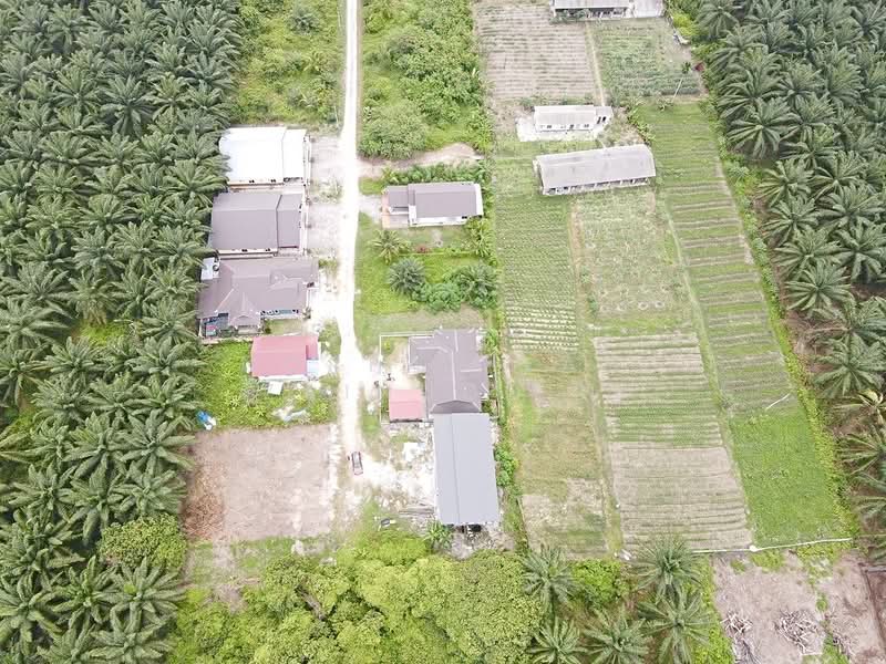 Tanah Kediaman untuk Dijual di Port Klang (Pelabuhan Klang) (Selangor) - NORFADILAH ZAINUDDIN - Exterior - PropertyGuru.com.my