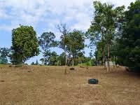 For Sale - Kampung Ulu Rening