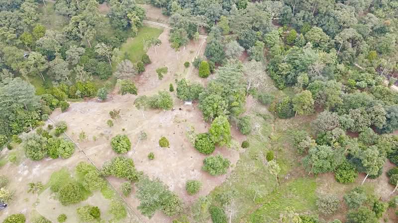 Agricultural Land for Sale in Kampung Ulu Rening (Rasa) - NORFADILAH ZAINUDDIN - Exterior - PropertyGuru.com.my