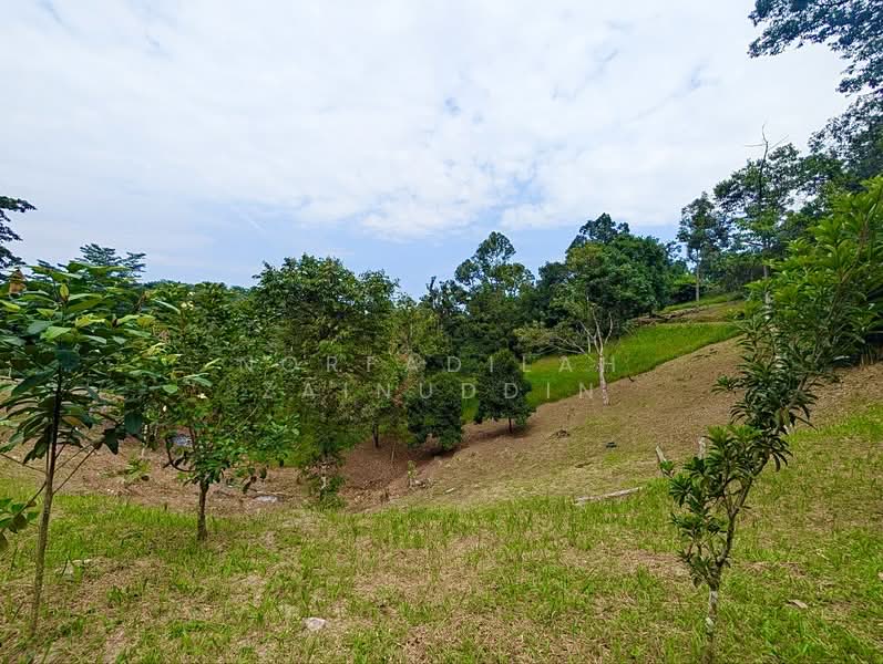 Agricultural Land for Sale in Kampung Ulu Rening (Rasa) - NORFADILAH ZAINUDDIN - Garden - PropertyGuru.com.my