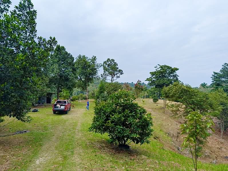 Agricultural Land for Sale in Kampung Ulu Rening (Rasa) - NORFADILAH ZAINUDDIN - Exterior - PropertyGuru.com.my