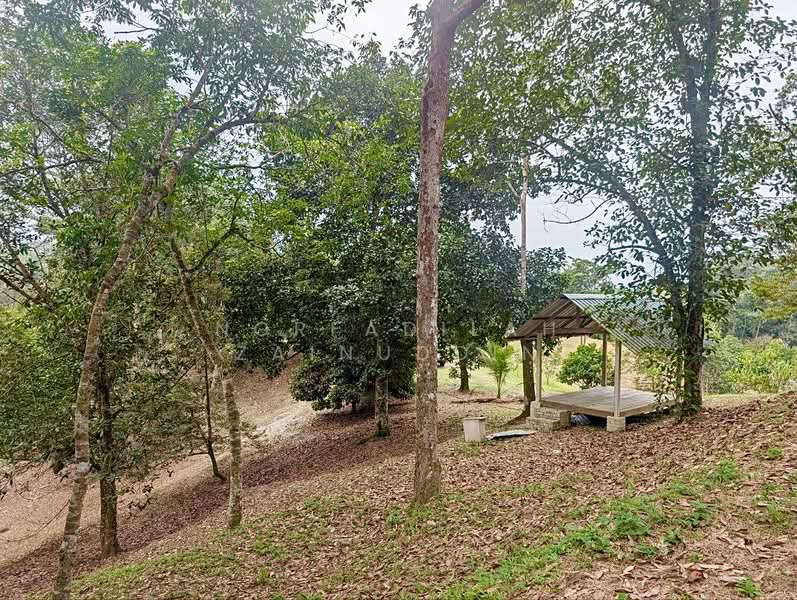 Agricultural Land for Sale in Kampung Ulu Rening (Rasa) - NORFADILAH ZAINUDDIN - Exterior - PropertyGuru.com.my