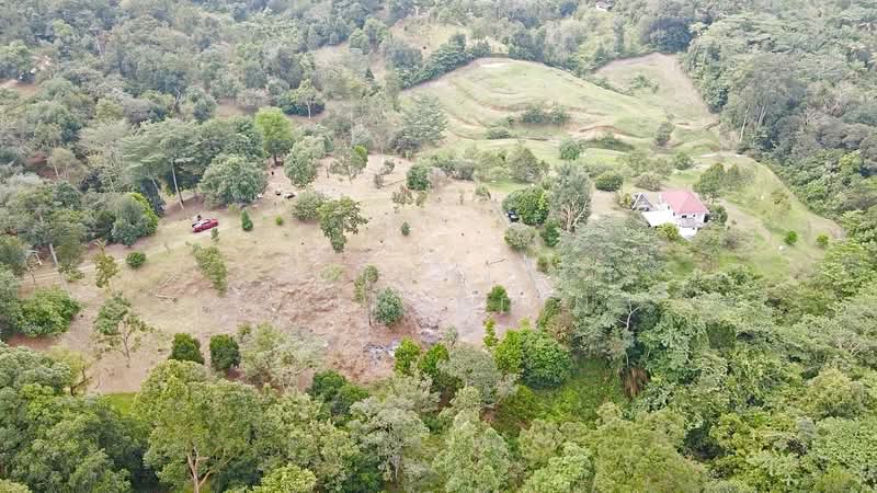 Agricultural Land for Sale in Kampung Ulu Rening (Rasa) - NORFADILAH ZAINUDDIN - Exterior - PropertyGuru.com.my