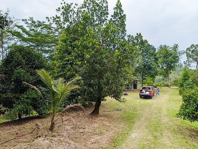Agricultural Land for Sale in Kampung Ulu Rening (Rasa) - NORFADILAH ZAINUDDIN - Exterior - PropertyGuru.com.my