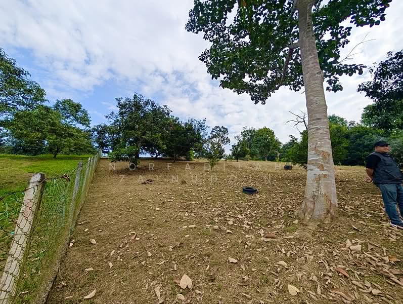 Agricultural Land for Sale in Kampung Ulu Rening (Rasa) - NORFADILAH ZAINUDDIN - Exterior - PropertyGuru.com.my