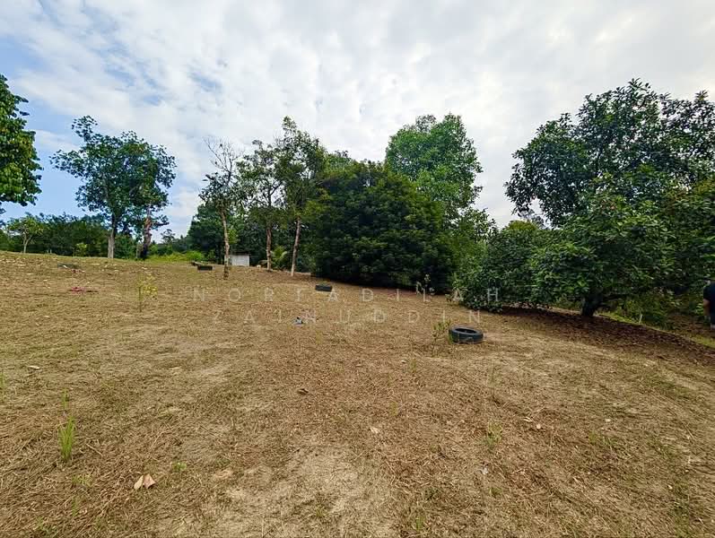 Agricultural Land for Sale in Kampung Ulu Rening (Rasa) - NORFADILAH ZAINUDDIN - Exterior - PropertyGuru.com.my