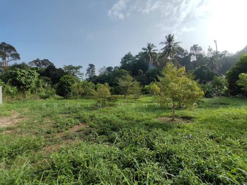 Agricultural Land for Sale in Gombak (Selangor) - Arbain Mahmood - Garden - PropertyGuru.com.my