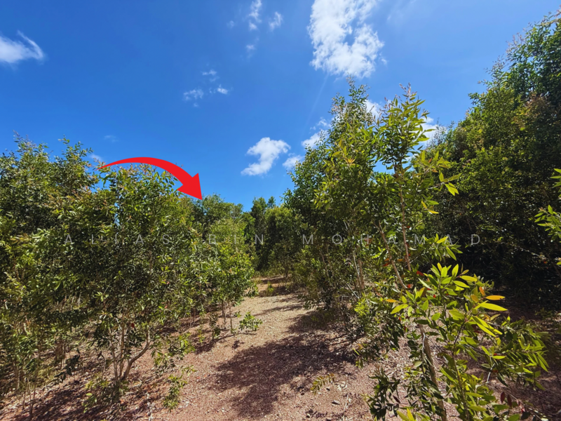 Residential Land for Sale in Kampung Padang Hangus (Kuala Nerus) - Alias Bin Mohamad - Exterior - PropertyGuru.com.my