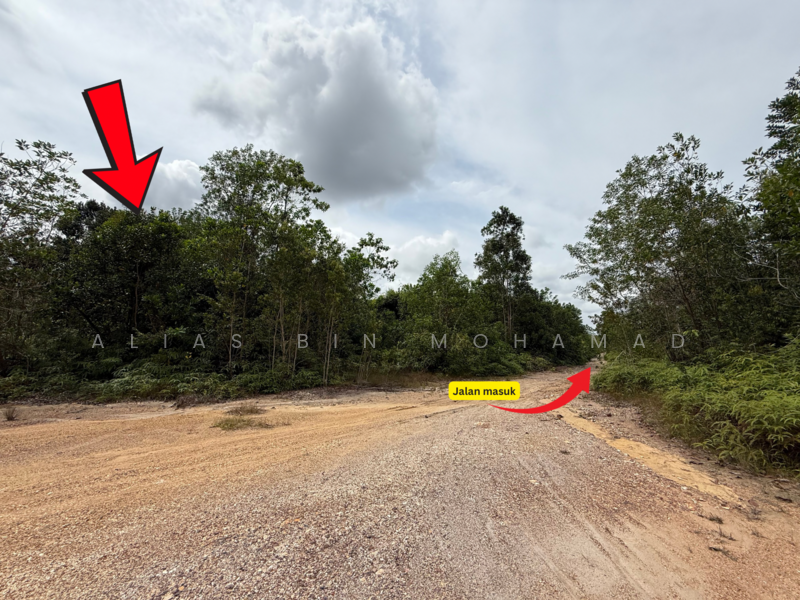 Residential Land for Sale in Pulau Kerengga (Terengganu) - Alias Bin Mohamad - PropertyGuru.com.my