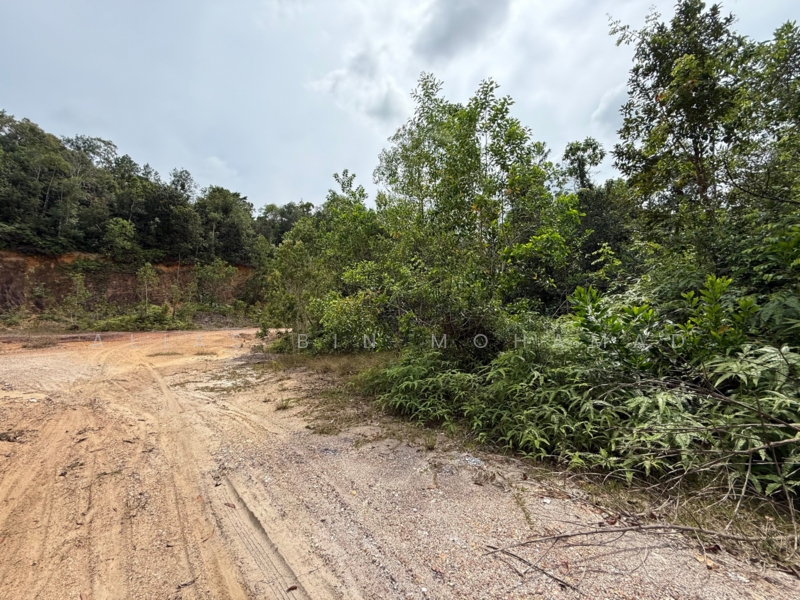 Residential Land for Sale in Pulau Kerengga (Terengganu) - Alias Bin Mohamad - Exterior - PropertyGuru.com.my