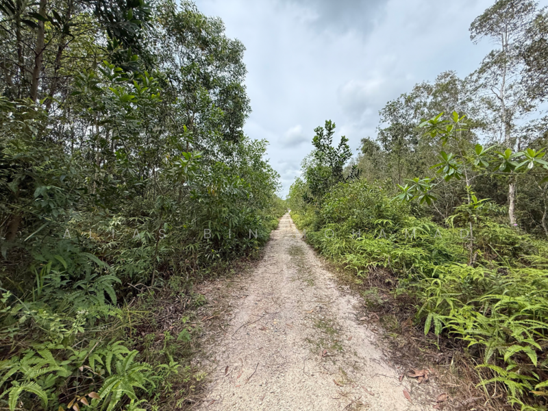Residential Land for Sale in Pulau Kerengga (Terengganu) - Alias Bin Mohamad - Exterior - PropertyGuru.com.my